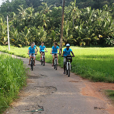 Cycle Tours